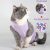 Traje De Recuperación Quirúrgica Para Gatos, Heridas Abdomin