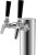 Kegco 2ft650ss Doble Grifo Ss Proyecto Torre De Cerveza Con