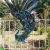 Arte De Pared De Pavo Real De Metal, Decoración De Jardín, D