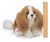 Bearington Sadie Cavalier King Charles Spaniel Relleno De La