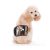 Alfie De Perro Por Petoga Couture – Banda Vientre Tad (para