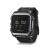 Epix Garmin