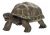 Criaturas Increíbles Safari Ltd Tortuga Bebé