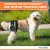 Walkin’ Hip-zee Perro Hip Brace System Support Arnés | Propo