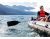 Remos Para Kayak Bote Y Mas Una Sola Se Convierte En 2 Au1