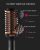 Tymo Hot Air Brush – Ionic Hair Dryer Volumizer, Professio