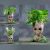 Maceta Treeman Baby Groot Suculenta Maceta De Plantas Verdes
