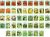 Un Conjunto De 43 Vegetales Y Hierbas Semillas Variadas – De