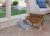 Petsafe Drinkwell Platinum Fuente Del Animal Doméstico