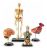 Anatomía Modelos Bundle Set, Cerebro, Cuerpo, Corazón, Esque