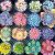 Las Suculentas Dulce 300 – Puzzle De Sierra Grande.