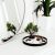 Zen Japonés Jardín De Escritorio, Decoración Del Hogar, Rega
