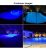 Xiube – Bombilla Led Para Piscina (12 V, 36 W, Luz Azul, 420