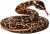 El Viahart Bernard Brown Python | 114 Serpiente Felpa Del An