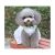 Smalllee_lucky_store Perro De Mascota Pequeño Gato Del Perri