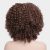 Afro Peluca Para Mujeres Negras Pel Naturales, Corto Rizado
