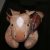 Ty Beanie Babies – Derby Del Caballo (cualquier Versión) Por