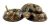 Michael Carr Designs 80058 Estatua De Serpiente Cascabel Del