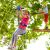 Jugader 100 Pies Zip Line Para Niños Y Adultos Con Cable Ten