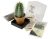 Cultivar Sus Propias Saguaro Cactus – Kit De Semillas De Cac