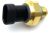 Presión Cbk Aceite Sensor Para 4921511 Cummins Isx N14 M11 L