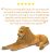 León Animales Gigante De Peluche Que Parece Vivo Melissa D