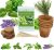 Environet Jardín De Hierbas Kit. Sembrar Starter Kit Cubiert