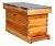 5-frame Nuc Colmena De Abejas Completa La Colmena De La Caja