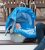 Asiento De Seguridad Del Pabellón 5 Pc Entera Caboodle (noa)