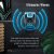 4 In 1 Multifunctional Electromagnetic Ultrasonic Pest Repel