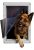 Ideal Pet Products Designer Series Ruff-weather Pet Door Wit
