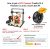 Impresora Creality Cr10 S5 3d Fdm Diy Kit Tamaño Grande Impr