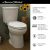 American Standard 2889218.020 H2option Dual Flush Frente Ron