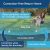 Petsafe Stay And Play Wireless Fence For Stubborn Dogs From