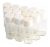 Tai Dian 100pcs Botellas 1 Ml Mini Frascos De Cristal Blanco
