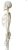 Wellden Médico Modelo Anatómico Esquelético Humano, 170cm, D