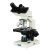 Microscopio Compuesto Omax 40x-2500x Led Binocular Lab Con L