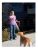 Petsafe Sprayshield Animal De Disuasión, Citronela Spray De