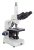 Amscope T340b-led Siedentopf Trinocular Microscopio Compuest