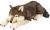 Wild Republic Jumbo Lobo Felpa, Gigante Animal Relleno, Jugu