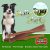 Gigabite 6 Pulgadas Delgado Sin Olor Bully Sticks (25 Pack)