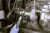 Lisle 57050 4-5/8  Truck Swivel Gripper