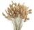 Huaesin – 100 Flores Secas Naturales, Tallos De Hierba De Pa