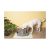 Petsafe Drinkwell Multi-tier Fuente Del Animal Doméstico