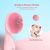 Cepillo De Silicona Para Limpieza Facial Caytraill, Rosa