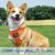 Thinkpet Reflectante Transpirable Suave Aire De Malla N Tire
