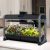 Aerogarden Granja 24basic, W Ensalada / Kit De Semillas De B