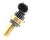 Equipo Original Acdelco Gm 12656444 Sensor De Temperatura De