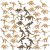 48 Pcs Fósil De Dinosaurio Esqueleto Esqueleto Del Dinosauri