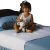 Silla De Estilo Reutilizable Impermeable Cama Pad – Made In